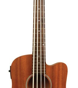 Gold Tone Micro Bass with Bag M-BASS
