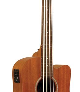 Gold Tone Fretless Micro Bss With Bag M-BASS-FL