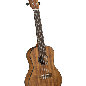 Diamond Head DU-350C Flamed Acacia Concert Uke Ukulele Outfit